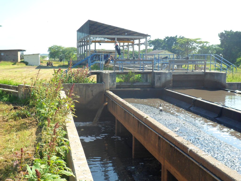 Bagaimana Pabrik Kertas Mengelola Limbah Agar Tetap Berkelanjutan