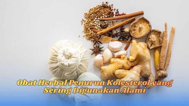 Obat herbal penurun kolesterol