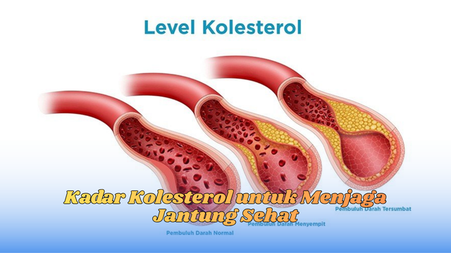 kadar kolesterol
