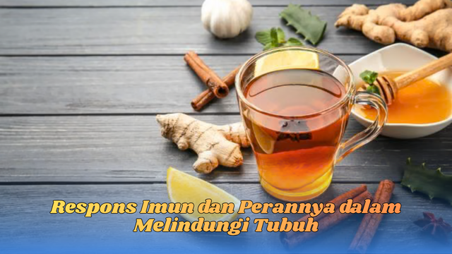Obat Kolesterol Alami dan Cara Mengelola Kadar Kolesterol